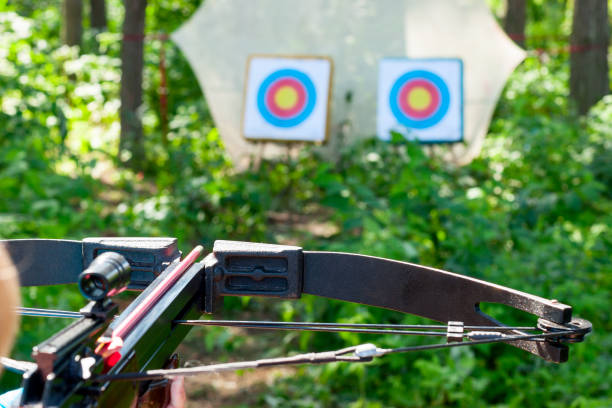 Woman aiming crossbow at target stock photo