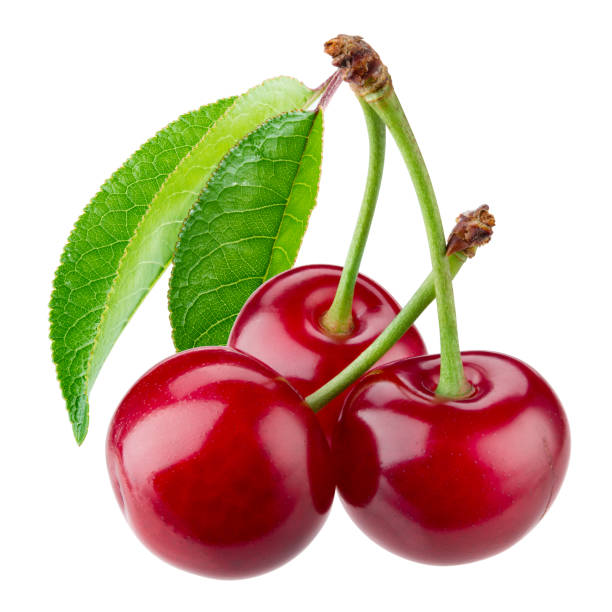 istock Cherry with leaves isolated on white background. 638232094