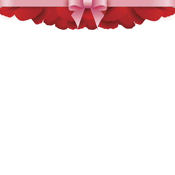 Rose Petals Border on white background. Valentines day Rose Petals Border on white background. Valentines day. rose petals rose single flower flower stock illustrations