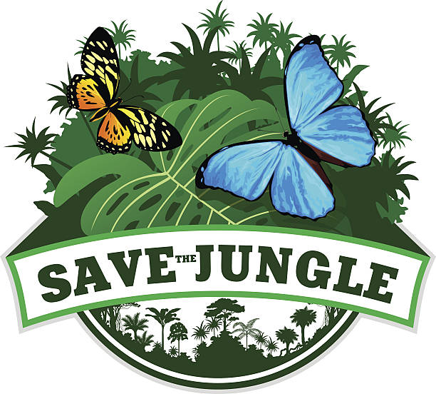 illustrazioni stock, clip art, cartoni animati e icone di tendenza di emblema della giungla vettoriale con farfalle - papilio zagreus