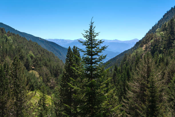 istock The picturesque mountain landscape. 638236456