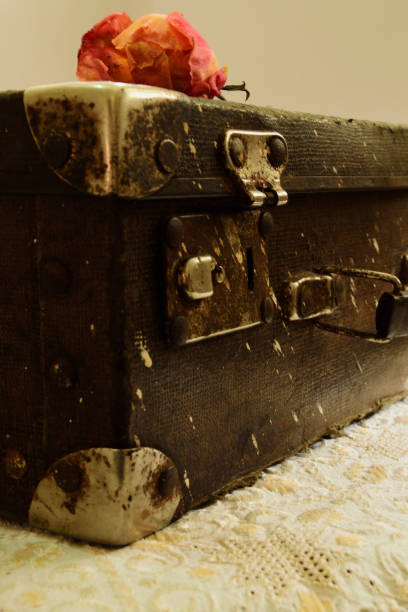 istock Vintage suitcase with an old camera and a rose 638237096