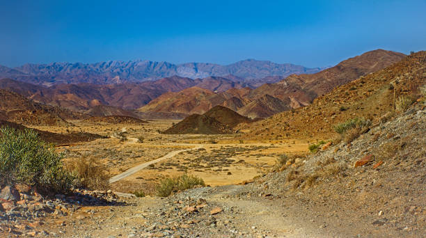 pustynna dolina i góry w parku narodowym richtersveld - richtersveld national park zdjęcia i obrazy z banku zdjęć