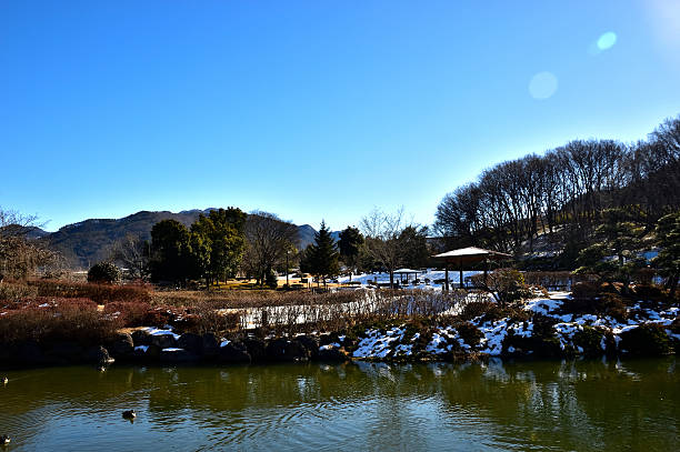 istock Misaka Togenau Park in winter 638237520