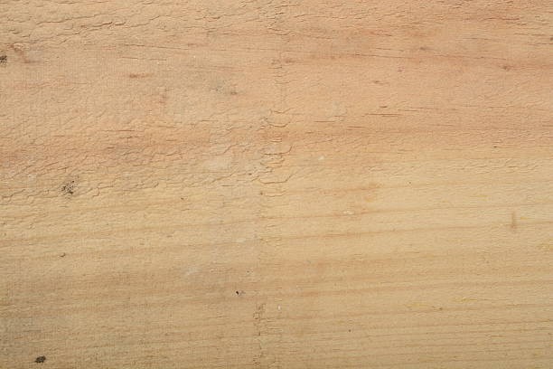 istock Wood, macro picture of the texture 638239036