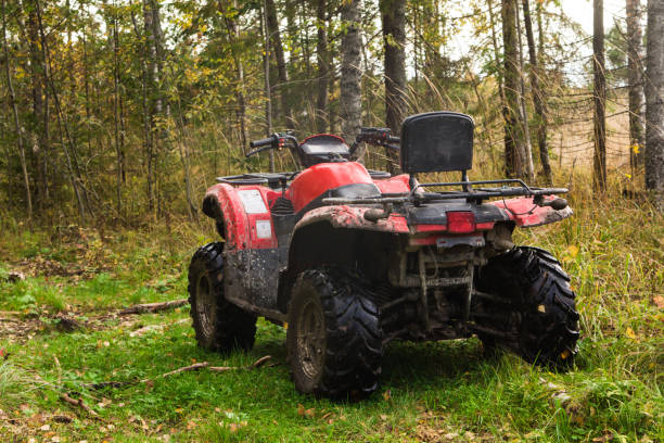 quad rouge dans les bois - fourwheeler photos et images de collection