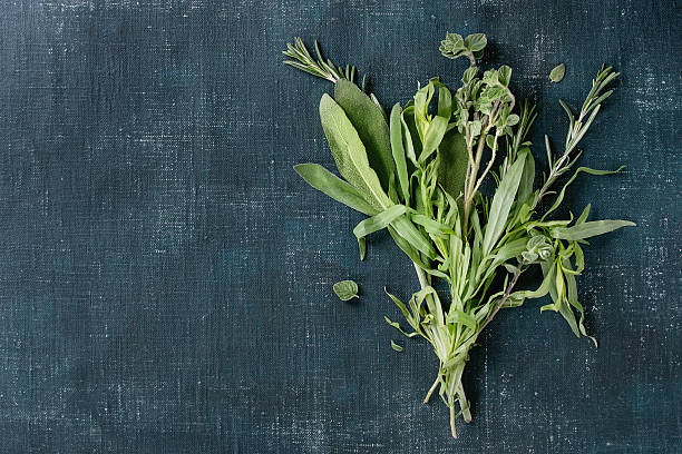 istock Bundle of fresh Italian herbs 638251634