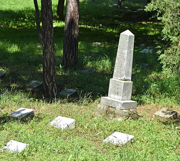 istock Tombstones in the public cemetery 638253730