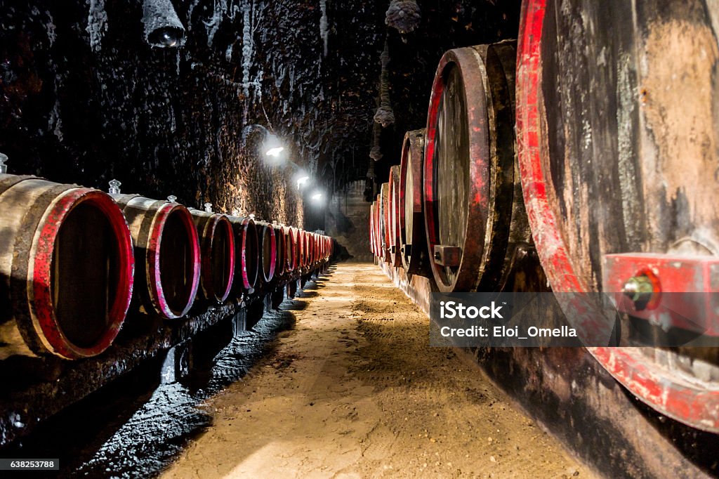 tokaj hungary cellar barrel furmint muskotaly aszu edes szamorodni Cellar in Tokaj, hungary Hungarian Culture Stock Photo