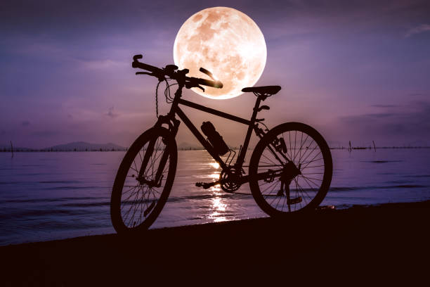 istock Silhouette of bicycle on beach against beautiful full moon. 638254704