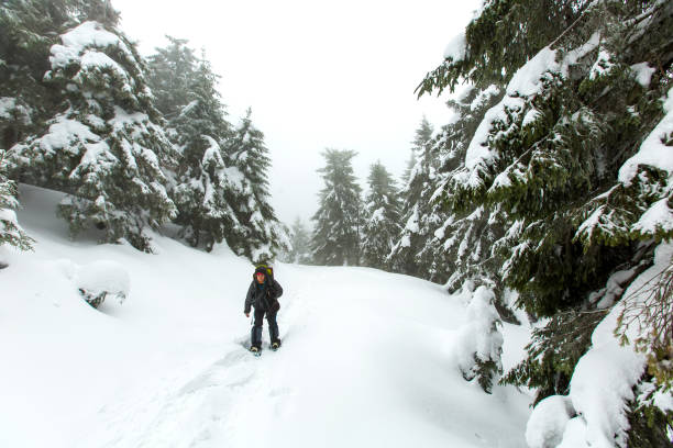 istock Man is hiking in winter forest on cloudy day 638256742