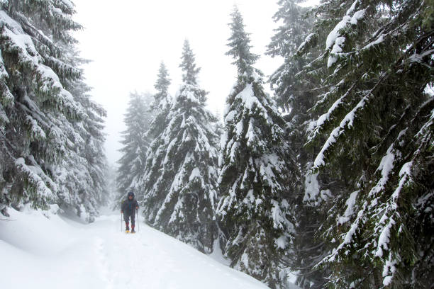 istock Man is hiking in winter forest on cloudy day 638256782