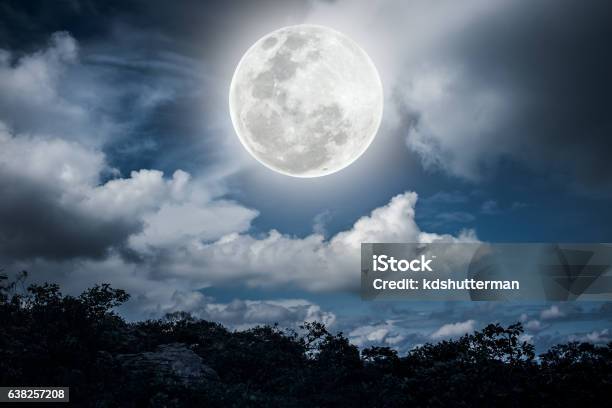 Silhouettes Of Tree And Nighttime Sky With Beautiful Full Moon Stock Photo - Download Image Now