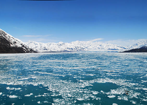 알래스카의 허바드 빙하, 전경에 얼음물을 곁들인 - hubbard glacier 뉴스 사진 이미지
