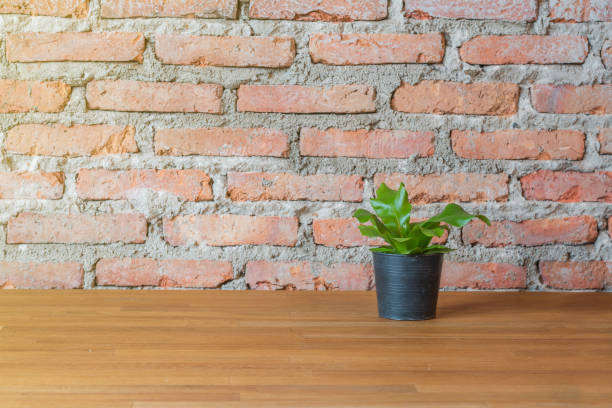 istock green plant in the flowerpot on wood table 638262014