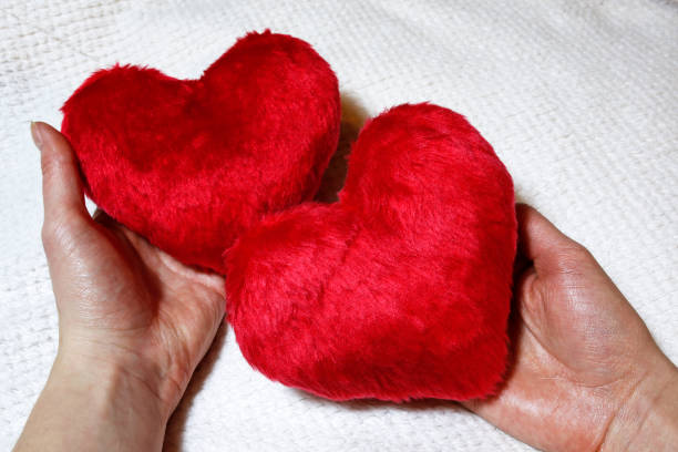 istock two hearts in female hands 638262492