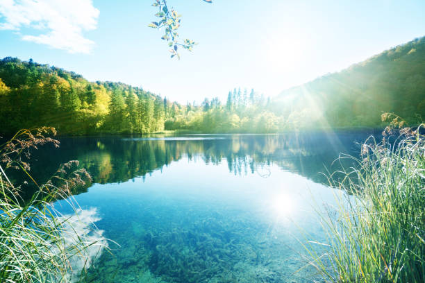 lago na floresta, croácia, plitvice - unesco world heritage site day sunlight tree - fotografias e filmes do acervo