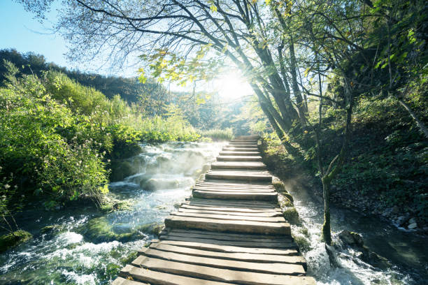 istock way in forest, Plitvice lakes, Croatia 638263806