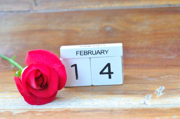 istock rose flower on valentine concept 638264502
