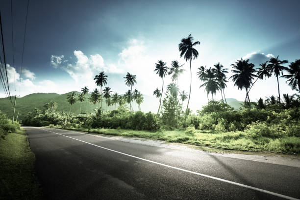 istock empty road in jungle of Seychelles islands 638264510