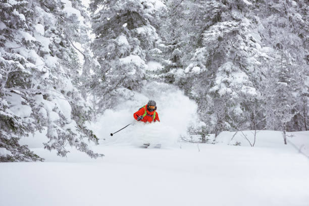 freeride skier skier fuori pista - sheregesh foto e immagini stock