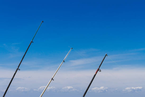 istock Three fishing rods standing against blue sky with clouds 638266264