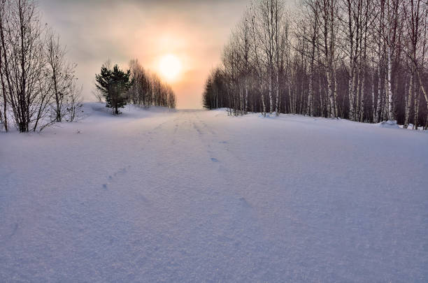 Beautiful winter snowy landscape and golden sunset