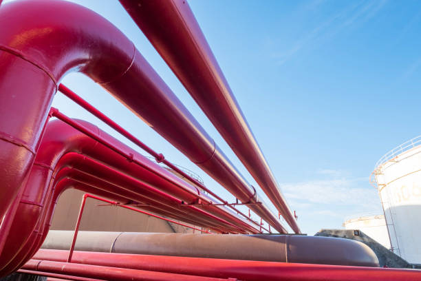 Water and foam line for fire protection system