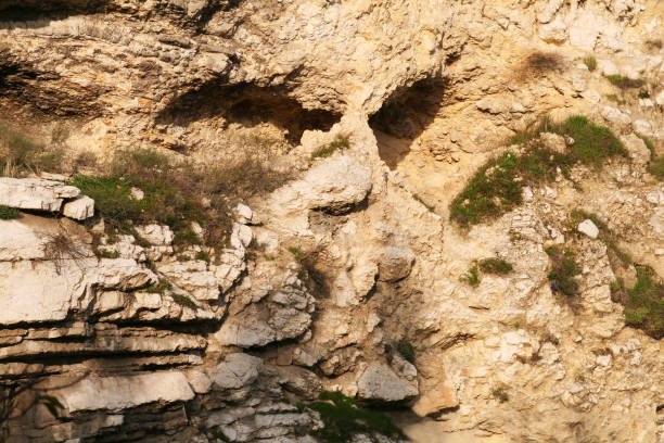 formación rocosa skull en jerusalén, israel - jerusalem hills fotografías e imágenes de stock