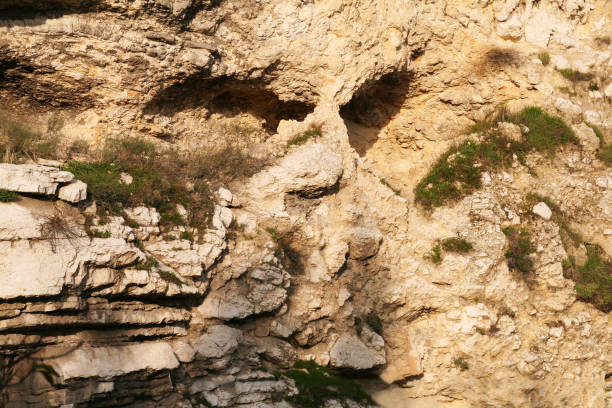 skull rock formation à jérusalem, israël - jerusalem hills photos et images de collection