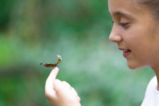 istock Happy Girl Holding a Butterfly 638272020