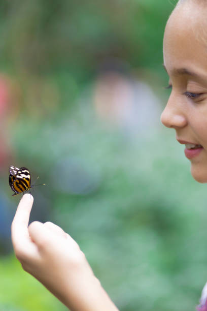 istock Happy Girl Holding a Butterfly 638272156