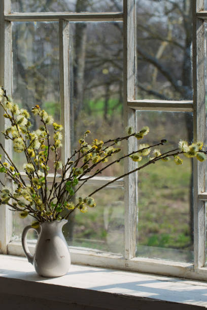 istock willow with flowering bud in vase 638275016