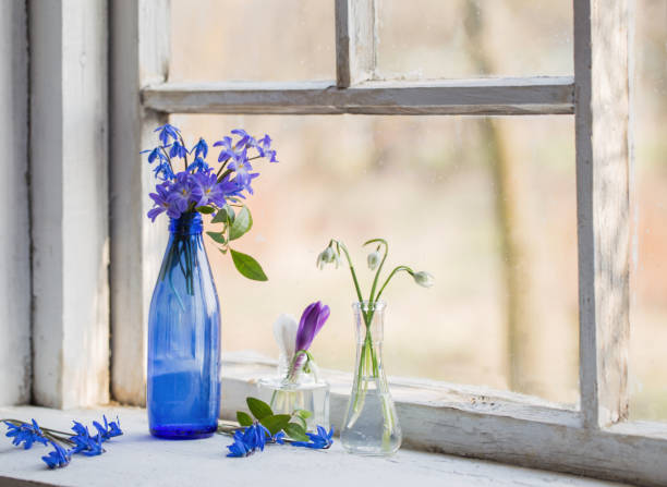Hyacinth, blue grape Hyacinth and daffodils