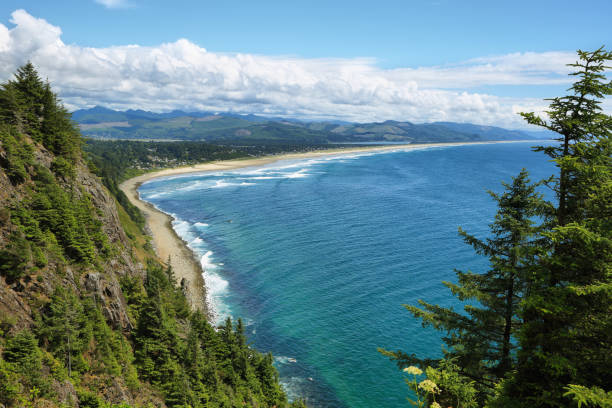 istock View of wild beach in Oregon 638275320