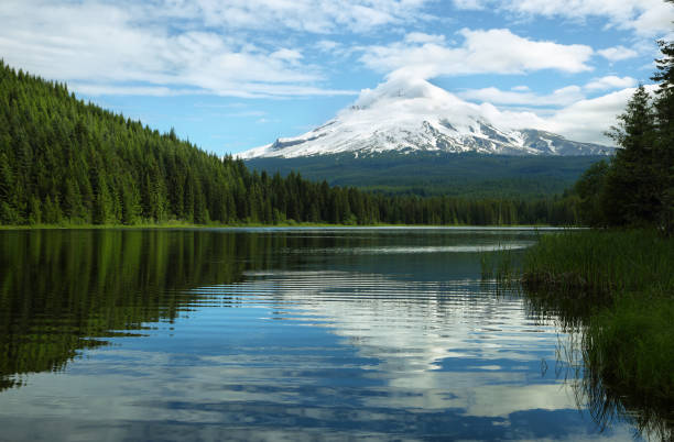 istock The Mount Hood reflection in Trillium Lake 638276264