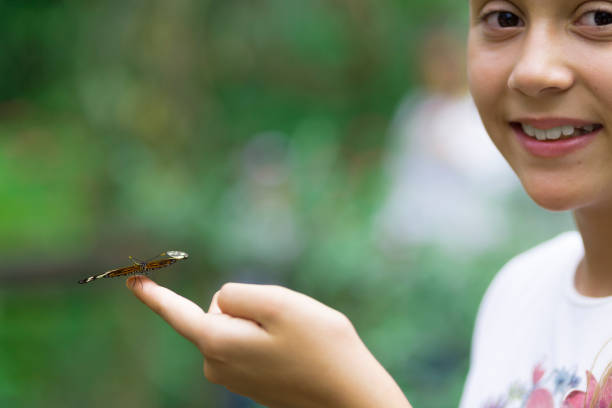 istock Happy Girl Holding a Butterfly 638278272