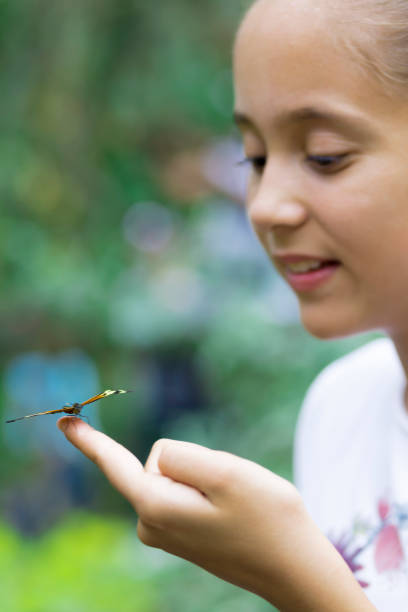 istock Happy Girl Holding a Butterfly 638278374