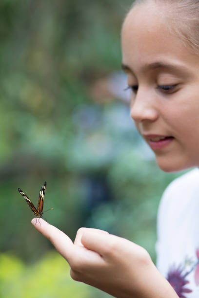 istock Happy Girl Holding a Butterfly 638278424