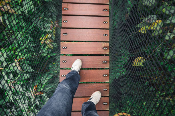 mann zu fuß auf holzbrücke auf baum - nylon legs stock-fotos und bilder