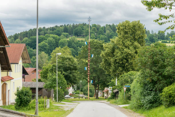istock Maypole in grueb in the bavarian forest 638286236