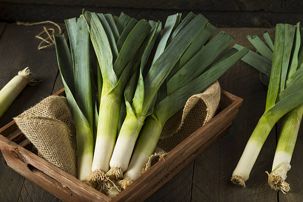 生グリーンオーガニックネギ - leek food nature vegetable ストックフォトと画像