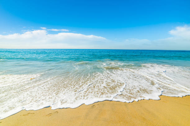 istock golden shore in Pacific Beach 638289354
