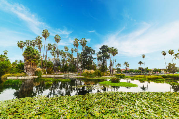 istock Echo park in Los Angeles 638290126