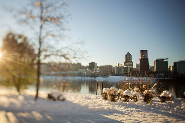 istock Portland, Oregon Downtown Skyline Cityscape 638291038
