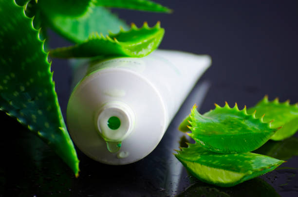 istock beauty products for spa with aloe vera 638291042