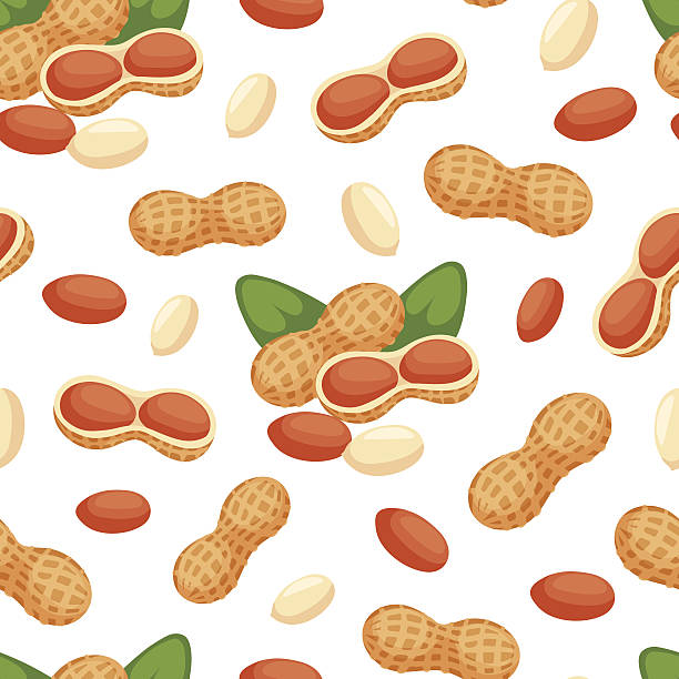 Seamless pattern with illustrations of peanuts vector. Seamless pattern with illustrations of peanuts vector. Vegetarian background ingredient natural organic healthy snack. Tasty eating seed diet food design. protein food background stock illustrations