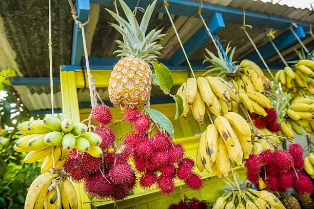 This is a horizontal, color royalty free stock photograph of fresh fruit at a farmer's market stand in rural Kona, Hawaii. Tropical star fruit, pineapple, bananas and rambutan are set out for sale on a display. Photographed with a Nikon D800 DSLR.