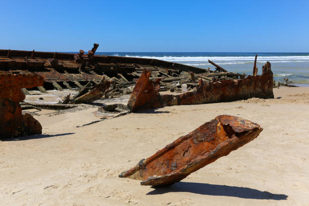istock Maheno ship wreck on Fraser Island beach 638294416
