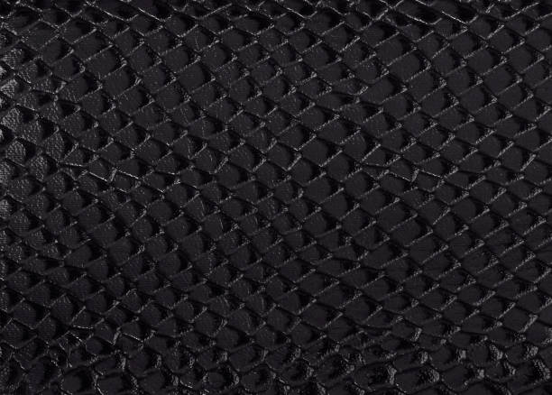 istock black texture snake skin, reptile like background 638296306